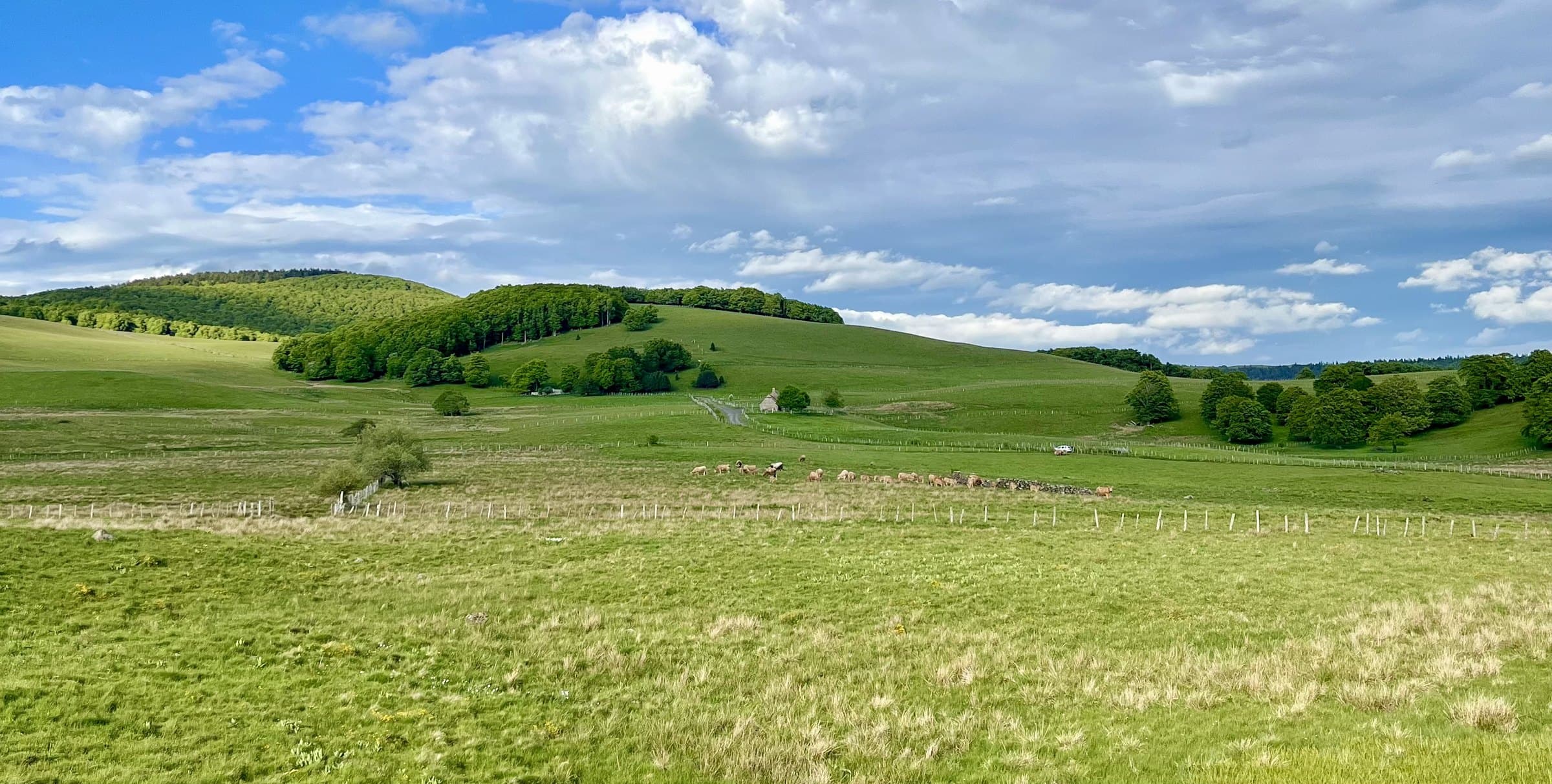 Les prairies et les bois de l'Aubrac